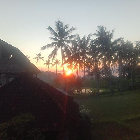 Pondok Diana Arta Jasri エクステリア 写真