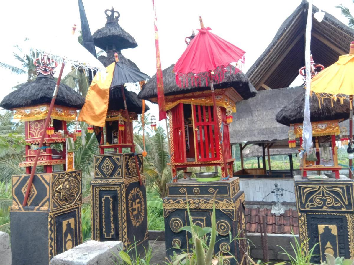 Pondok Diana Arta Jasri エクステリア 写真