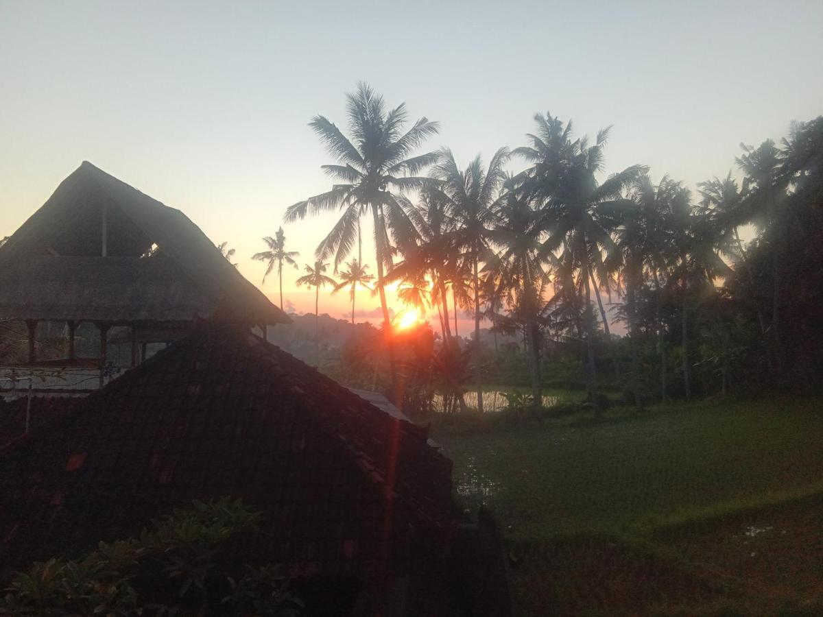 Pondok Diana Arta Jasri エクステリア 写真