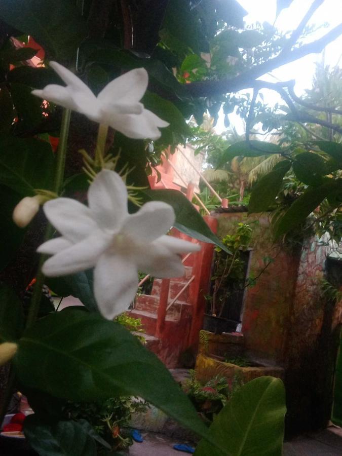 Pondok Diana Arta Jasri エクステリア 写真