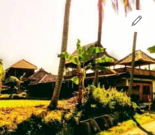 Pondok Diana Arta Jasri エクステリア 写真