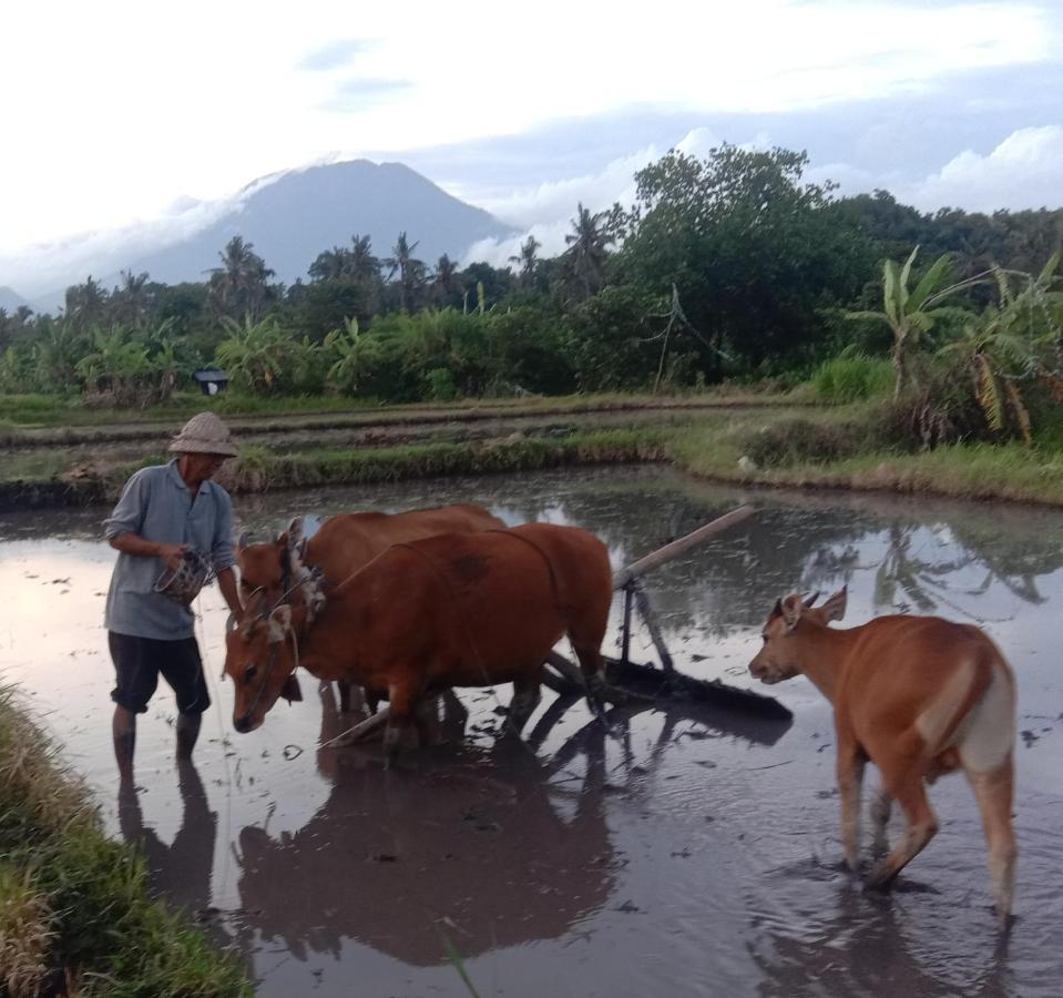 Pondok Diana Arta Jasri 部屋 写真
